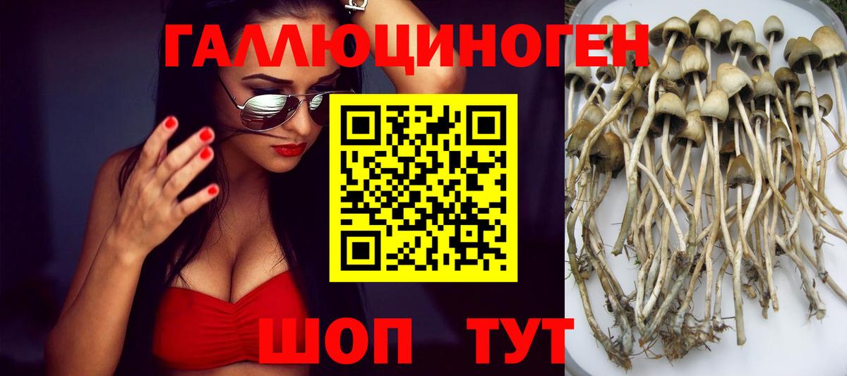 Киров  Галлюциногенные грибы ЛСД  Галлюциногенные грибы GOLDEN TEACHER  Вход с VPN 